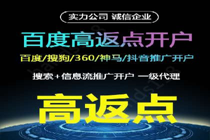 某行业SEM广告投放的创意与执行案例